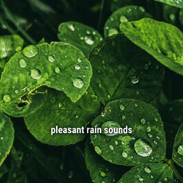 Album cover of pleasant rain sounds