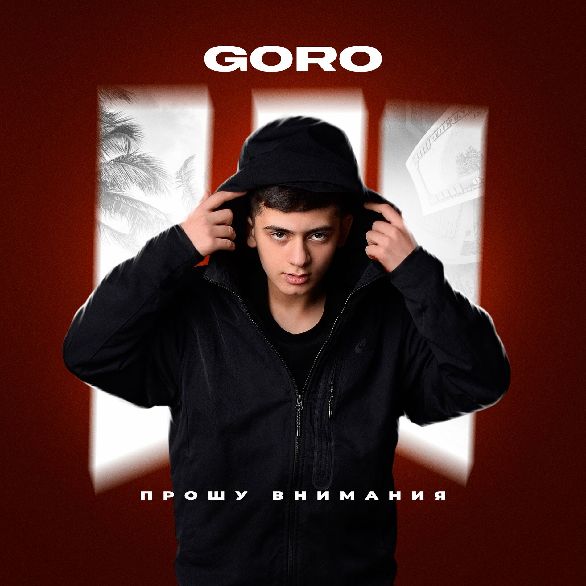 Внимание goro