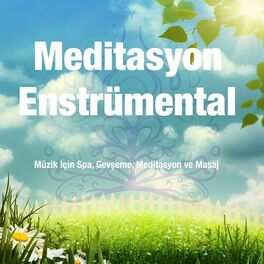 Album cover of Meditasyon Enstrümental: Müzik için Spa, Gevşeme, Meditasyon ve Masaj