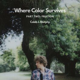 Album cover of Where Color Survives, Part Two: Fruition