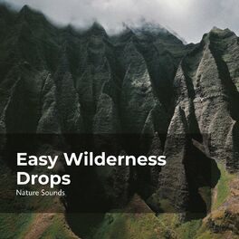 Album cover of Easy Wilderness Drops