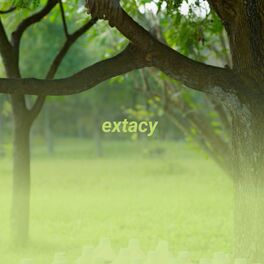 Album cover of Extacy