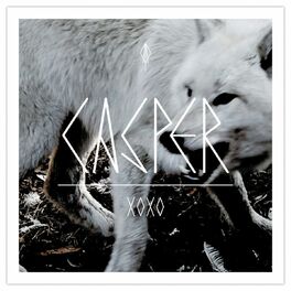 Album cover of XOXO