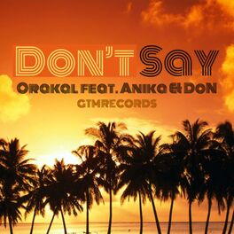 Album cover of Don't Say (feat. Anika & Don)