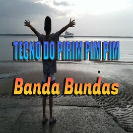 Album cover of Tecno do Pirim Pim Pim