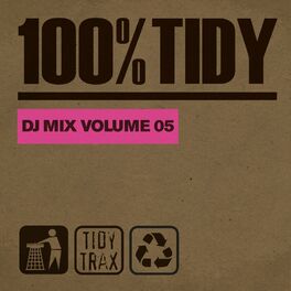 Album cover of 100% Tidy, Vol. 5