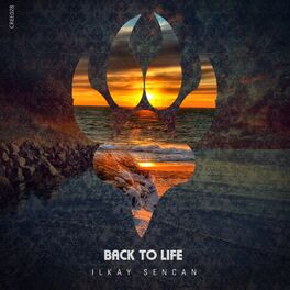 Album cover of Back to Life