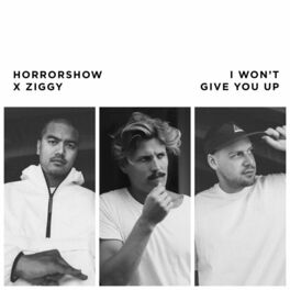 Album cover of I Won't Give You Up