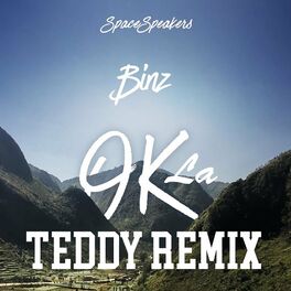 Album cover of OK (feat. BinZ) [Teddy Doox Remix]