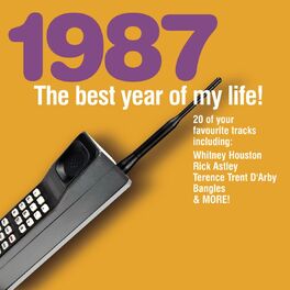 Album cover of The Best Year Of My Life: 1987
