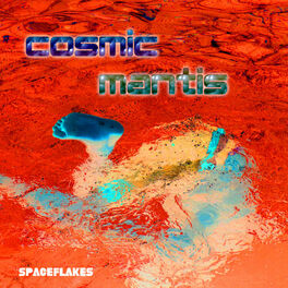 Album cover of Spaceflakes