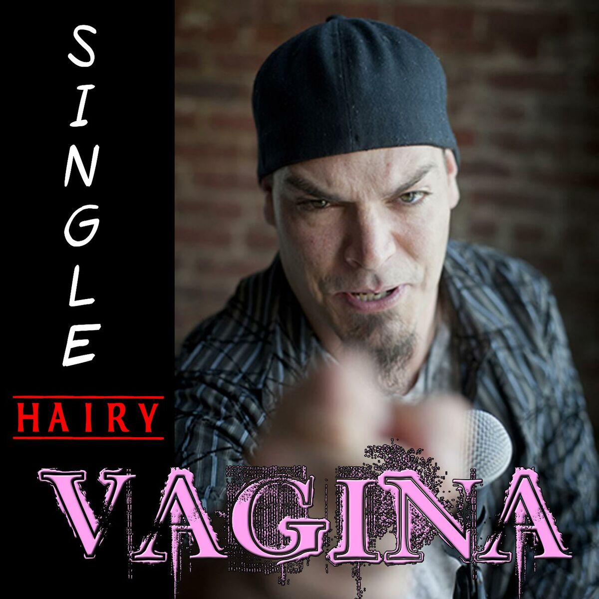 Chris Covert - Hairy Vagina: lyrics and songs | Deezer