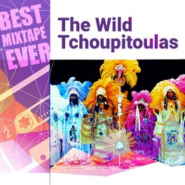 Album cover of Best Mixtape Ever: The Wild Tchoupitoulas