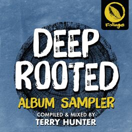 Album cover of Deep Rooted (Terry Hunter Sampler)
