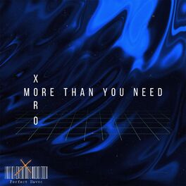 Album cover of More Than You Need