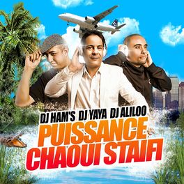 Album cover of Puissance Chaoui Staifi