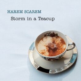 Album cover of Storm in a Teacup
