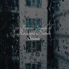 Album cover of 50 Famous Sounds of Rain and Nature Sounds