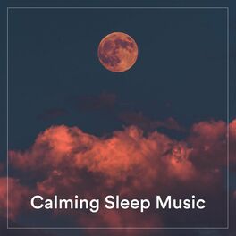 Album cover of Calming Sleep Music
