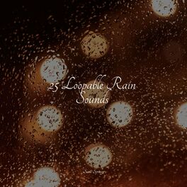Album cover of 25 Spa Rain Sounds
