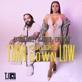 Album cover of Turn Your Lights Down Low