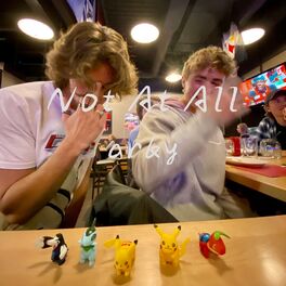 Album cover of Not At All