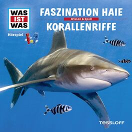 Album cover of 03: Faszination Haie / Korallenriffe