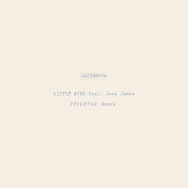 Album cover of Little Bird (Feiertag Remix)