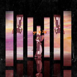 Album cover of Go Wild
