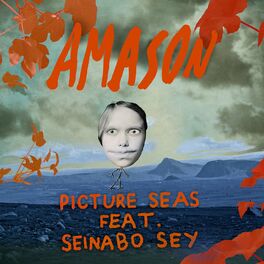 Album cover of Picture Seas