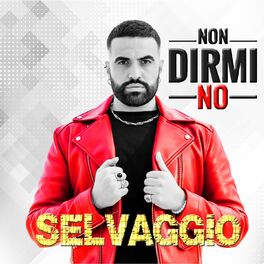 Album cover of Non dirmi no