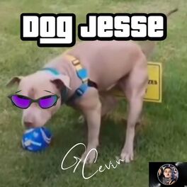 Album cover of Dog Jesse