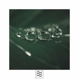 Album cover of Agradables tonos de lluvia y bolos para calmar la mente