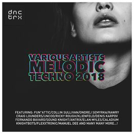 Album cover of Melodic Techno 2018