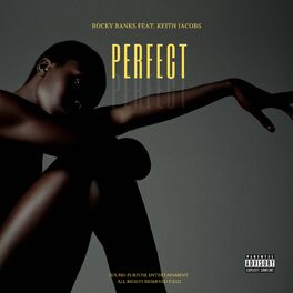 Album cover of PERFECT