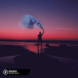 Album cover of Apologize (Slowed)