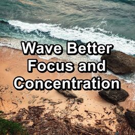 Album cover of Wave Better Focus and Concentration