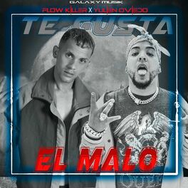 Album cover of Te Gusta el Malo