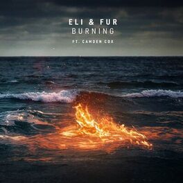 Album cover of Burning
