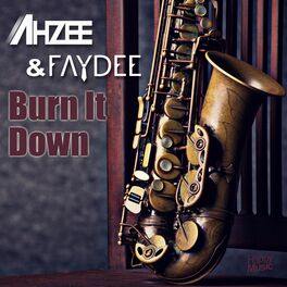Album cover of Burn It Down - EP