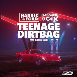 Album cover of Teenage Dirtbag