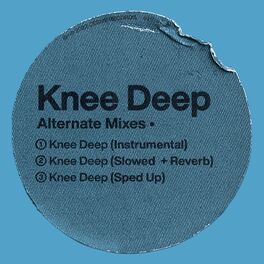 Album cover of Knee Deep (Alternate Mixes)