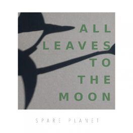 Album cover of All Leaves to the Moon