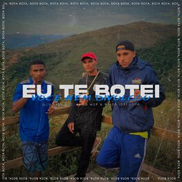 Album cover of Eu Te Botei Você Nem Divulgou