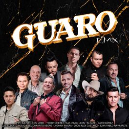 Album cover of Guaro (Remix)