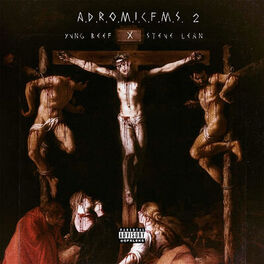 Album cover of A.D.R.O.M.I.C.F.M.S. 2
