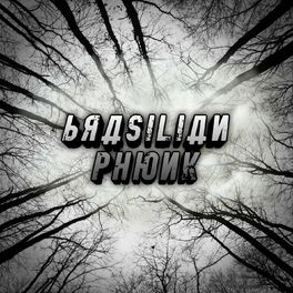 Album cover of BRASILIAN PHONK