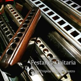 Album cover of Festança Gaitaria