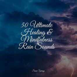 Album cover of 50 Ultimate Healing & Mindfulness Rain Sounds