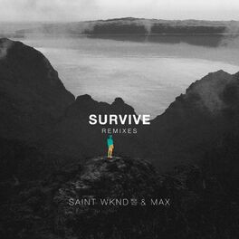 Album cover of Survive (Remixes)